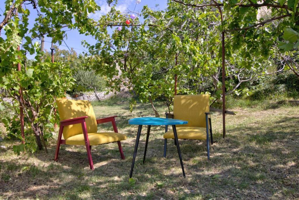 Vacation Home Korina Senj  Bagian luar foto